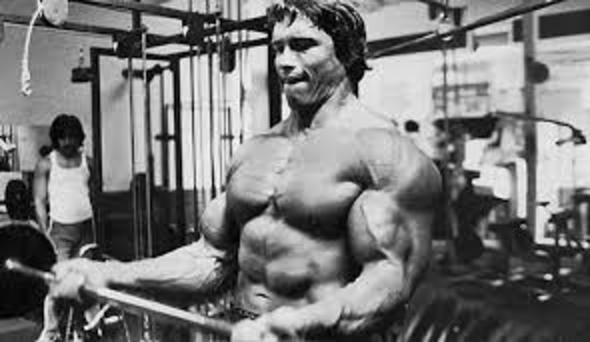 Arnold 