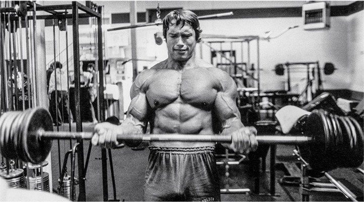 Arnold Training 